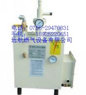 供应中邦壁挂式气化炉汽化炉